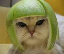 casque