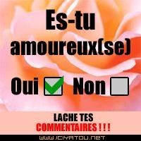 oui vasi
